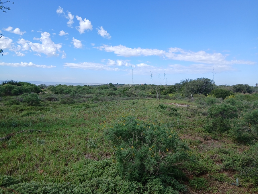 3 Bedroom Property for Sale in Uitenhage Rural Eastern Cape